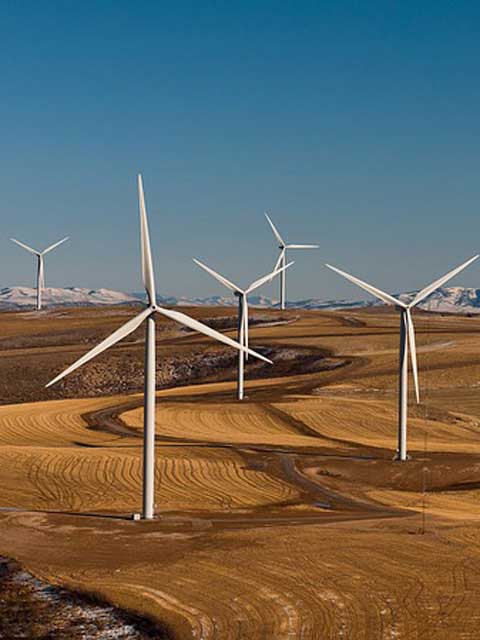 在线手机号平台